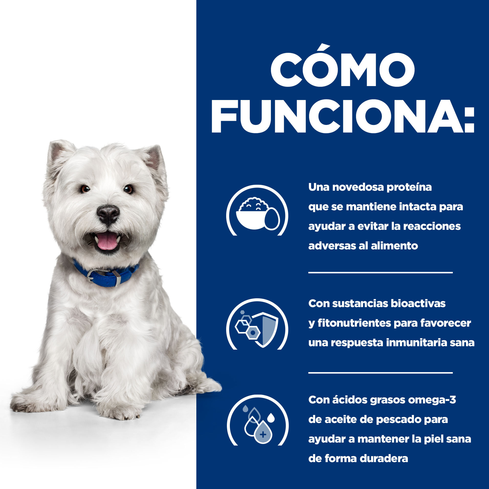 1 kg Hill's Prescription Diet Derm Complete Mini ra&ccedil;&atilde;o para c&atilde;es, , large Imagem n&uacute;mero 3